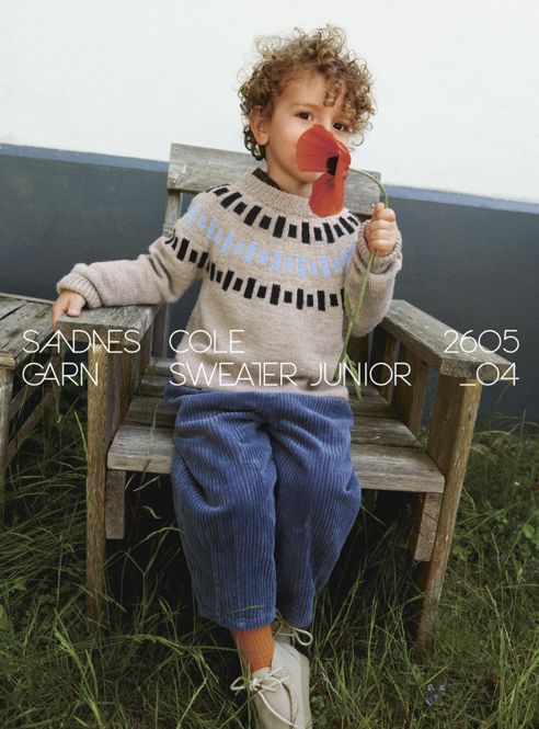 Hovedbilde 2605-4 Cole Sweater Junior