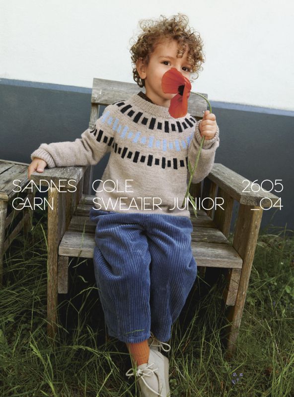 2605-4 Cole Sweater Junior